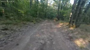 Минск ммвз 3 111 макака