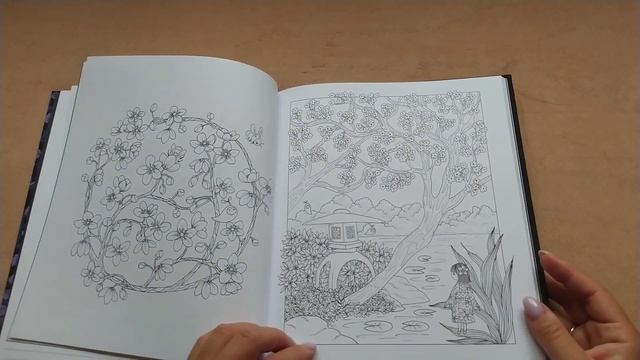 Обзор на раскраску М.Тролле "Дивная Луна" смотреть онлайн