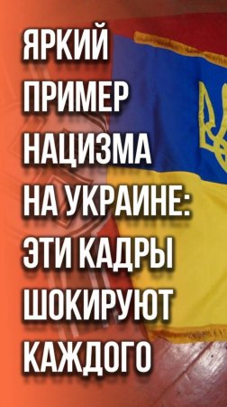 Яркий пример нацизма на Украине: эти кадры шокируют каждого