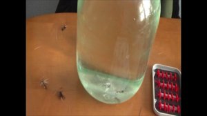 Зимняя рыбалка.Ловля на безмотылки часть 4-я.Мухи