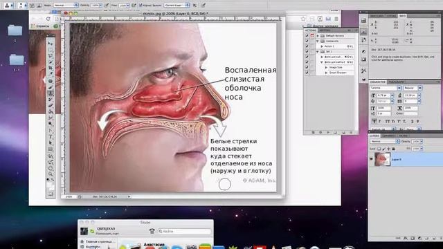 Фотошоп видео урок 1 смотреть онлайн