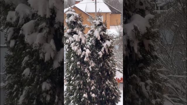У Вас есть новогоднее настроение?🎄 #новыйгод #зима #зимнеенастроение #winter