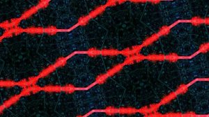 Cocogroove - Blue Tenerife (Waveglider Mix)