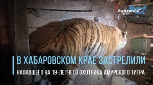 В Хабаровском крае застрелили напавшего на 19-летнего охотника амурского тигра