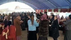 Сумбула Хасанова туёна