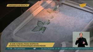 В селе Успенка Павлодарской области растет количество начинающих бизнесменов
