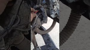 Как подключается автономка на МАЗ 2020 года.