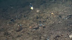 Удочки для безнасадочной мормышки. Азбука зимней рыбалки.