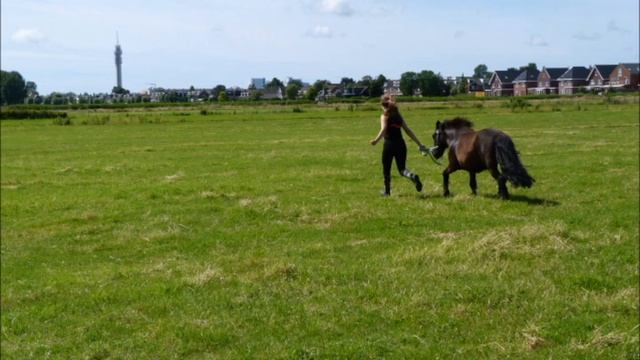 all i wanna do смотреть онлайн