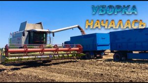 Уборка началась / КАМАЗ в работе