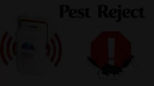 Лучший Отпугиватель Крыс И Мышей Цена Отзывы