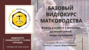 БАЗОВЫЙ ВИДЕОКУРС МАТКОВОДСТВА: вывод и работа с матками, деление семей, виды нуклеусов