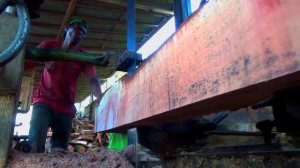 Amazing... The most dangerous big log jackfruit and red wood sawing skills at the sawmill