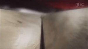 Реклама Дайсон В11   Январь 2021