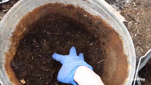 Грунт для петунии смотреть онлайн