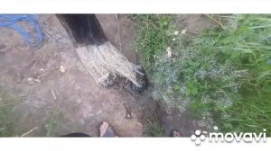 ловля кастинговой сетью ( впоймал много щуки))