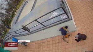 Граффитиста поймали благодаря уличным камерам в Краснодаре