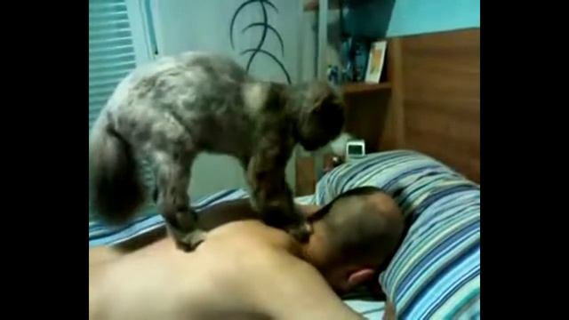 Лучшие массажисты мира!