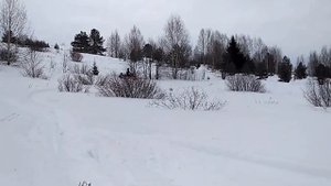 26. Bearcat WT 660 Turbo - Пошёл 2-й год...