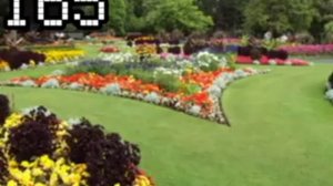 Все уровни закульсие 0-999 бекрумс #закулисье