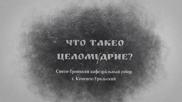 Проповедь Преосвященного Мефодия «Что такое целомудрие»
