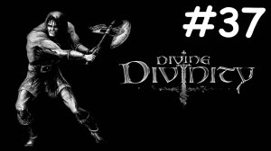 divine divinity прохождение # строптивый эльф [37]