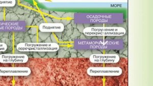 Краткий пересказ §10 Природные ресурсы земной коры. география 7 класс Алексеев