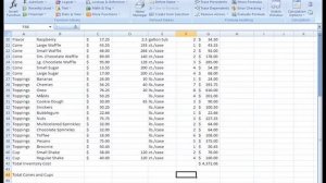 Excel 2007: Basic Functions