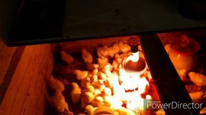 ЧИСТИМ СНЕГ КТО ЛОПАТОЙ КТО МАШИНОЙ