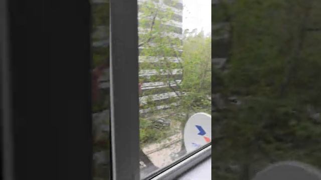 Видео обзор 3 комнатной квартиры в аренду Тольятти 40 лет Победы 114 смотреть онлайн