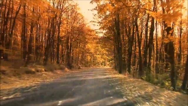 УНИВЕРСАЛЬНАЯ КВАНТОВАЯ МАТРИЦА  П.П. ГАРЯЕВА УКРЕПЛЕНИЕ ИММУНИТЕТА.