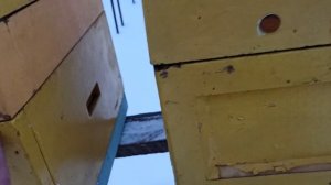 ППУ улья какие лучше