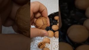 Трехдольный грецкий орех .