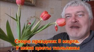 Скоро праздник 8 марта. У меня цветы тюльпаны. Видео 2022 год