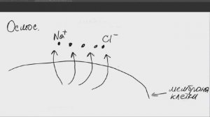 Транспорт веществ через мембрану клетки.ЕГЭ по биологии
