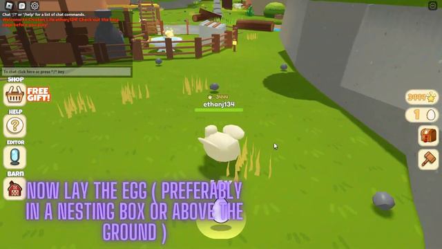 How to get points fast in Roblox chicken life! смотреть онлайн