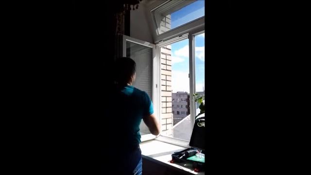 Почему москитка не защитит кошку от падения из окна смотреть онлайн