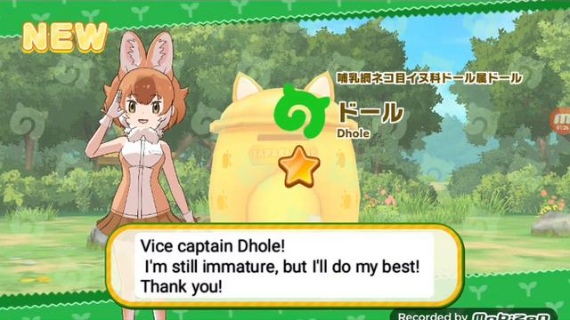 Kemono friends 3: Dhole introduction