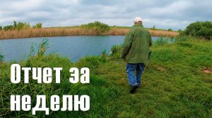 Отчет рыбалки за неделю. "Новая рыбалка" в Белгороде