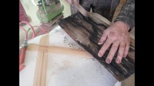 Молния на дереве