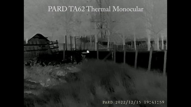 PARD TA62 Thermal and DS35 Night Vision in use, FOX CONTROL PROTECTING LIVESTOCK, Full Reviews soon смотреть онлайн