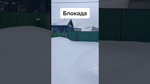 Блокада ! смотреть онлайн