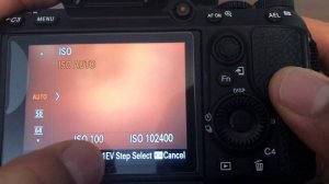 Sony A7riii, A7iii, A7rii, a7ii, A7sii - SETTING ISO ON MY CAMERA - HOW TO