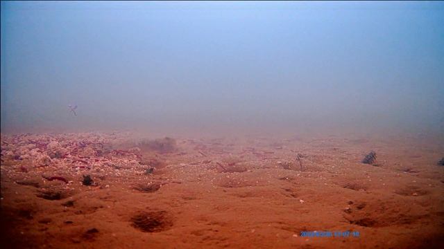 21 км. И залив Исхи. Рыбы пока нет. смотреть онлайн