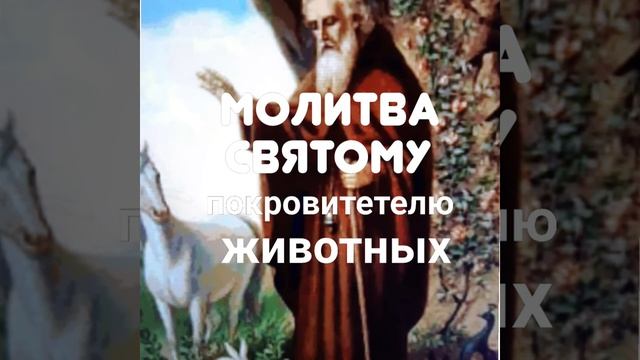 Молитва Святому покровитетелю животных, Власию.