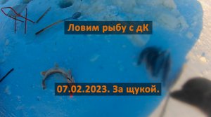 Рыбалка на Амуре. дК ловит щуку. 07 февраля 2023.
