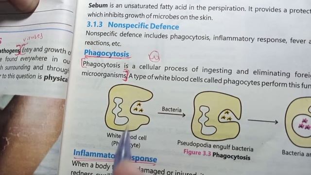 Class 7th science new book Chapter 3 exercise solved mcqs short questions and long question snc смотреть онлайн