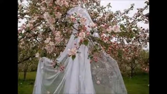 белая лебедь- надежда весны смотреть онлайн