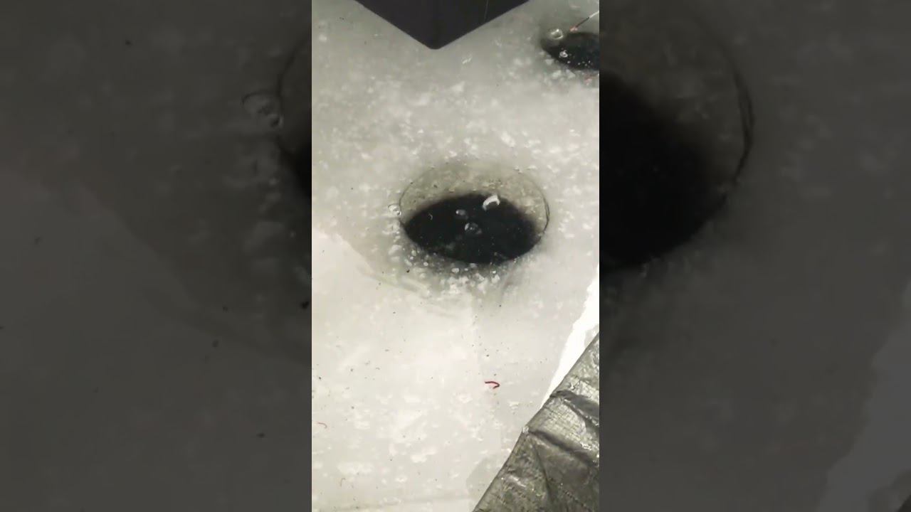 Достал леща с 11 метров смотреть онлайн