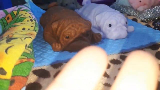 Ну что решим?сквиши собаки смотреть онлайн